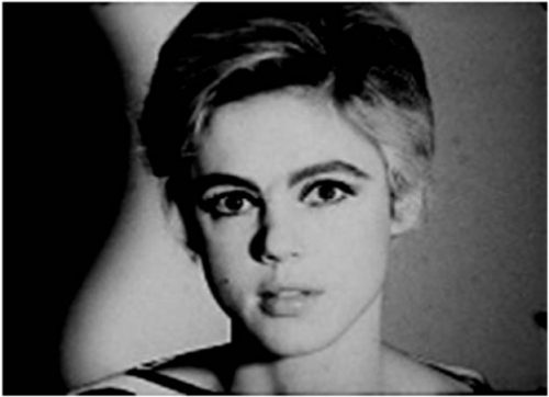 Andy Warhol "Screen Tests" (Edie Sedgwick) at the Currier Museum, Manchester NH