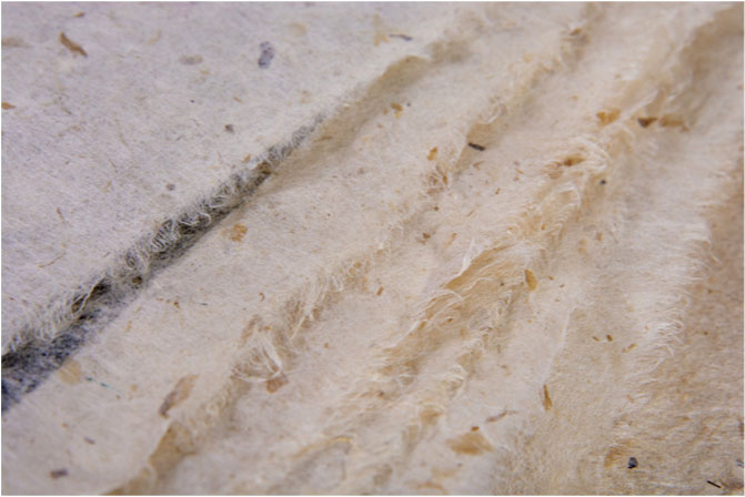 Detail of the mushroom paper with
decorative edges